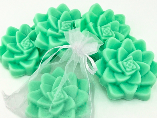 Succulent Soap Party Favors
