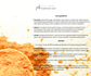 Instant Facial Mask – Rose, Turmeric & Honey or Charcoal